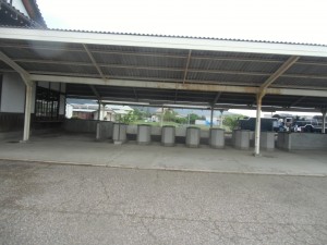 CIMG6403
