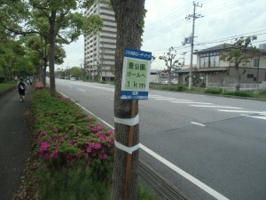 CIMG6544