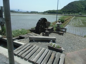 CIMG6635
