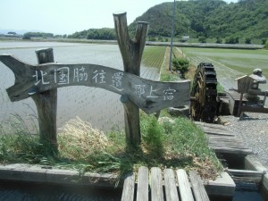 CIMG6636