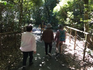 IMG_0284