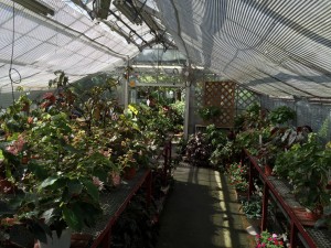 IMG_0290